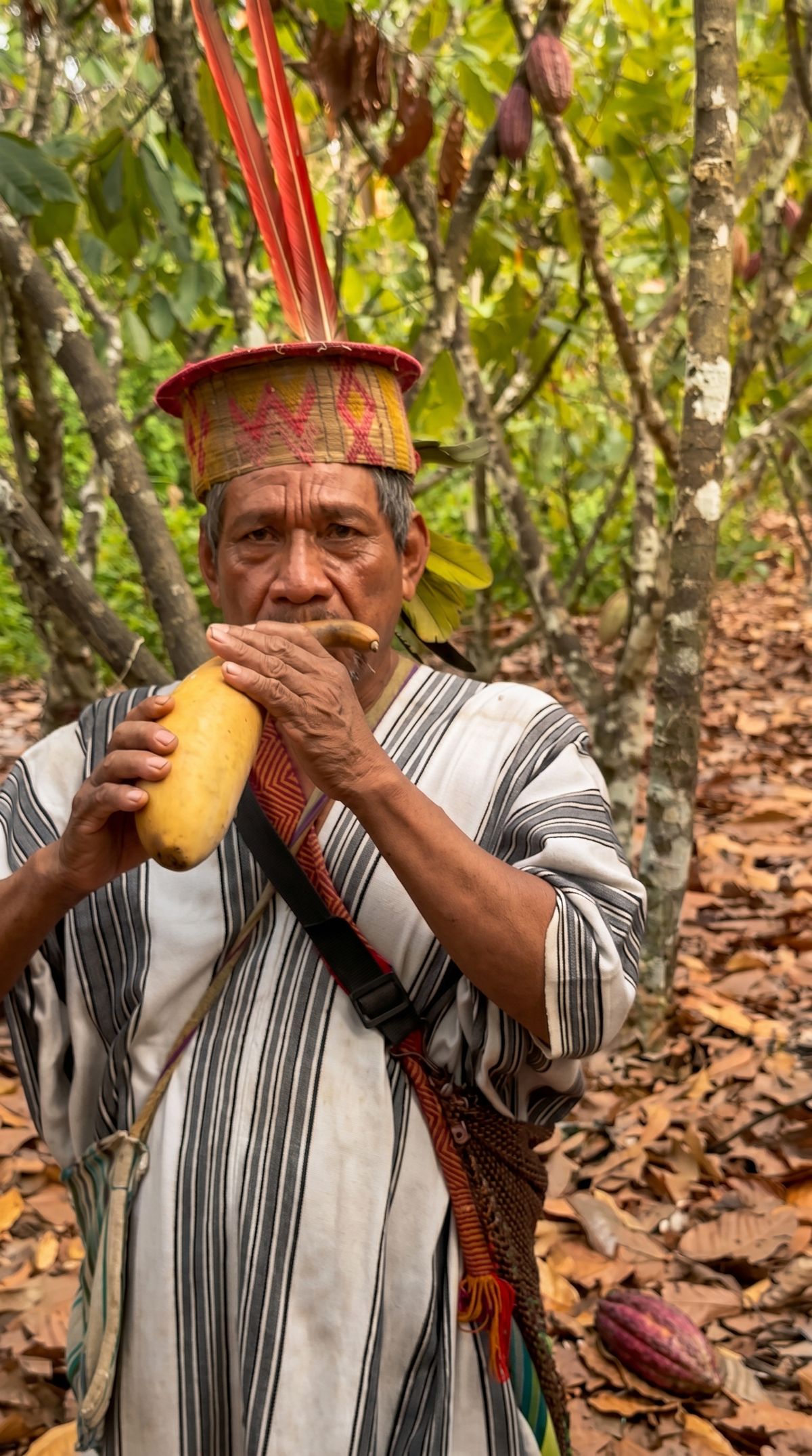 Wilfredi Ríos Pancho in the kushma and crown, holding a cacao pod